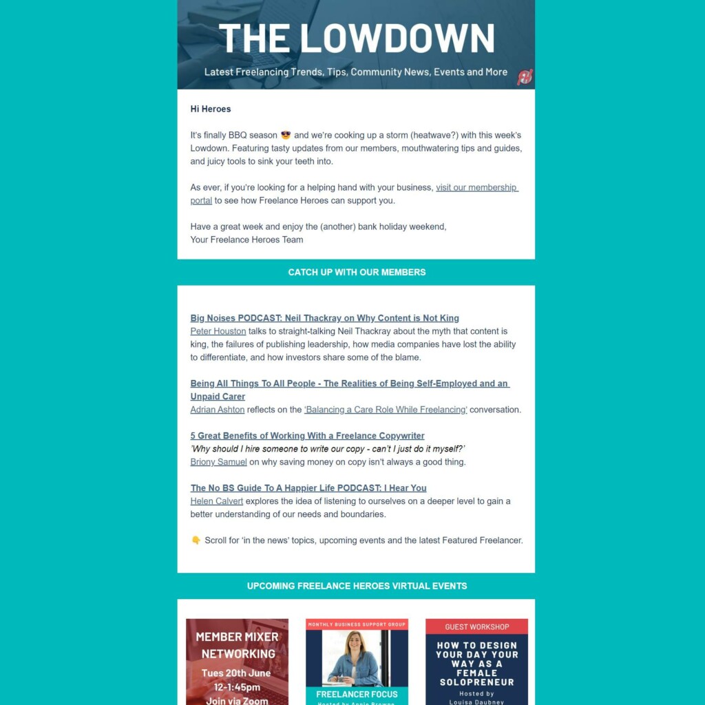 The Lowdown newsletter preview